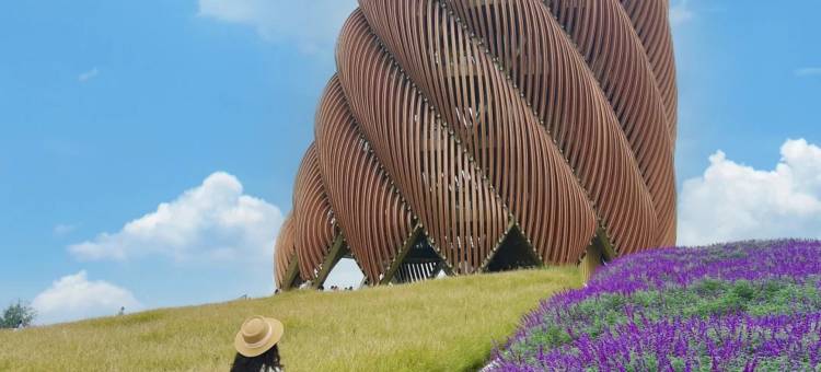 成都•亿辰博雅酒店|ProjectionPlayground(熊猫基地天府动漫城店)图片