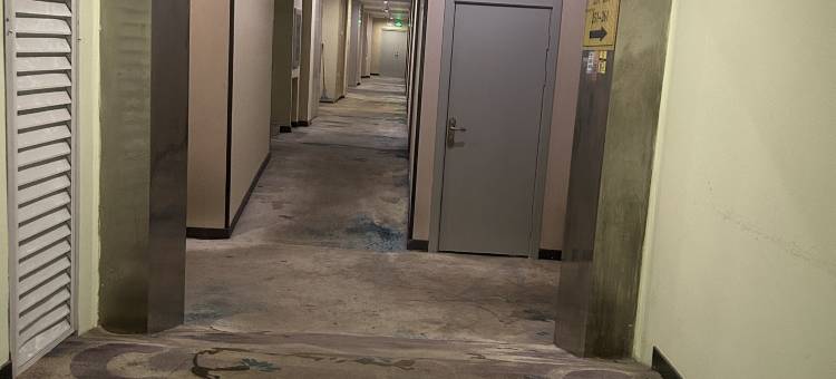 如家华驿精选酒店(武汉华中科技大学佳园路地铁站店)图片