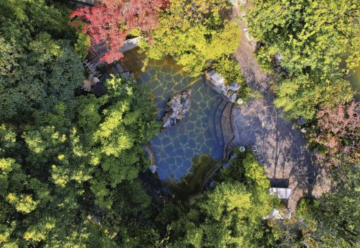 Bosan Hotels & ResortsHotel Overview