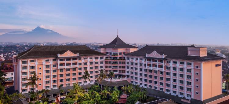 美利亚普罗萨尼酒店(Meliá Purosani)图片