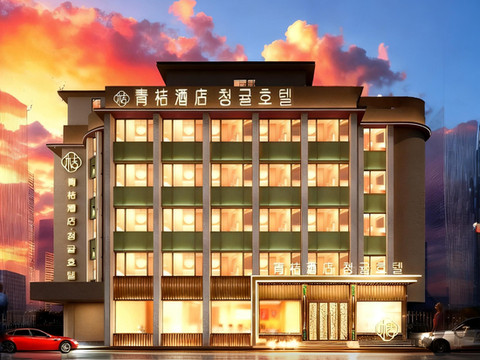 青桔·设计师酒店(延吉延边大学网红墙西市场店)