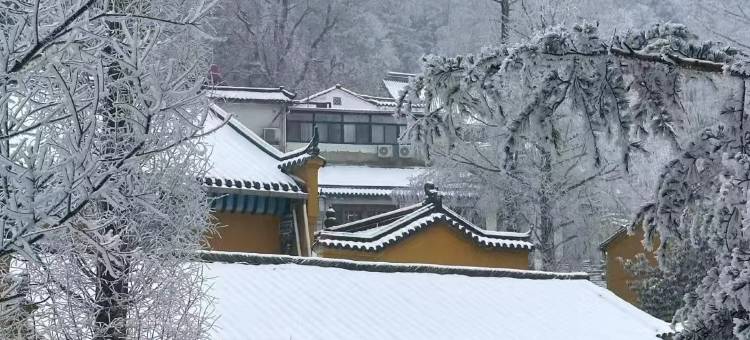 燕栖湖湾Holiday Villa山水庭院丨设计师轻奢美宿(九华山店)图片
