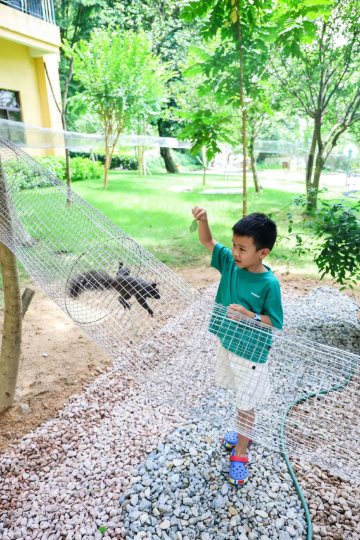 龙门地派温泉度假村图片