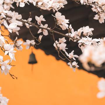 南京新街口苏宁雅高诺富特酒店图片