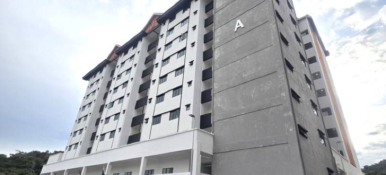 The Highland Hive图片