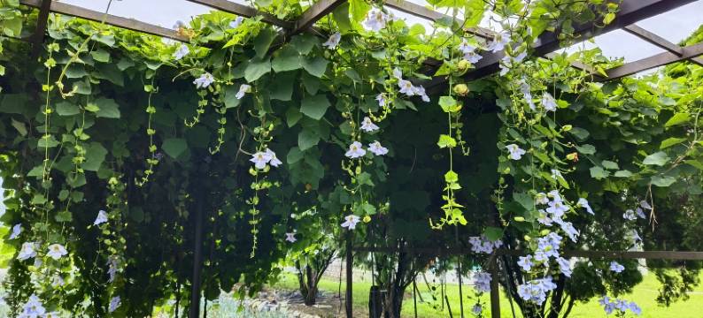 宜兰三星星宿渡假别墅图片