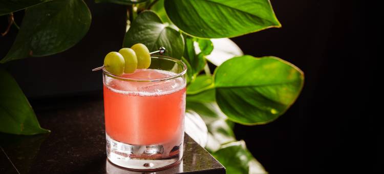 爱丁堡Moxy酒店(Moxy Edinburgh)图片