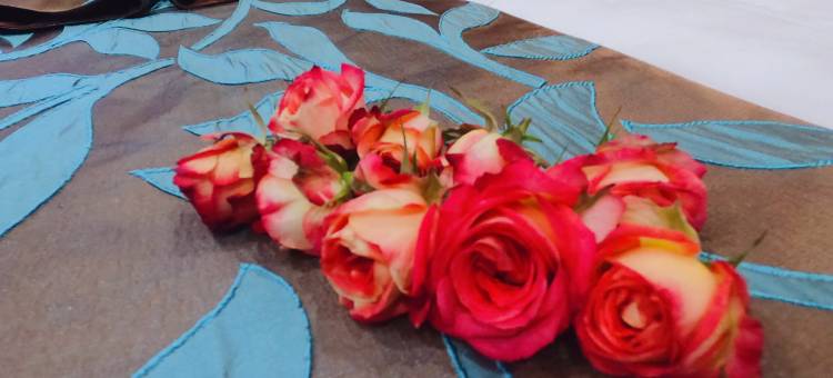 清柚精选民宿图片