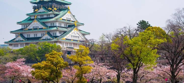 大阪难波西东横酒店(Toyoko Inn Osaka Namba Nishi)图片