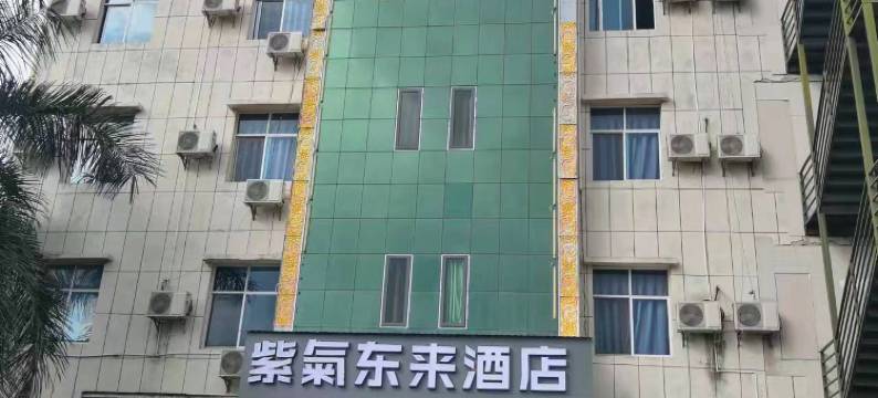 耿马孟定紫气东来酒店图片