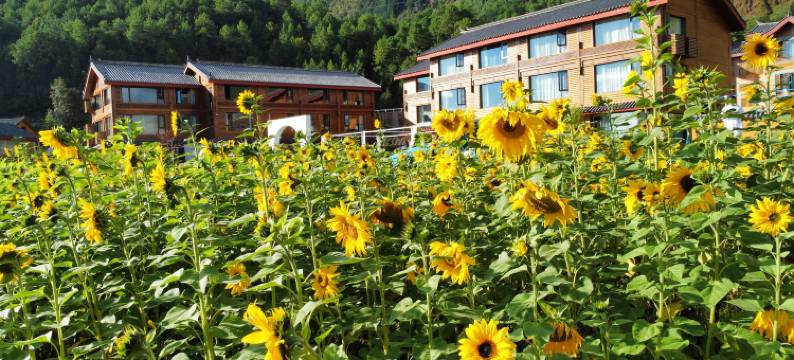 泸沽湖云堇云舒湖景民宿图片