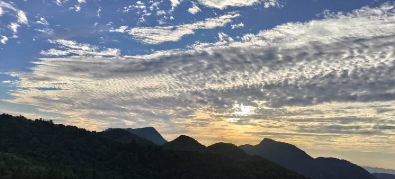 帅年发酒店图片