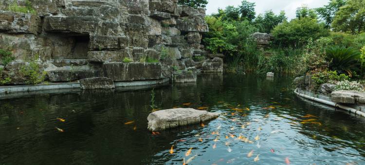 盐城郁金香客栈图片