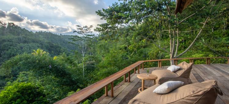 巴厘岛布罕悦榕逸境(Buahan, a Banyan Tree Escape)图片