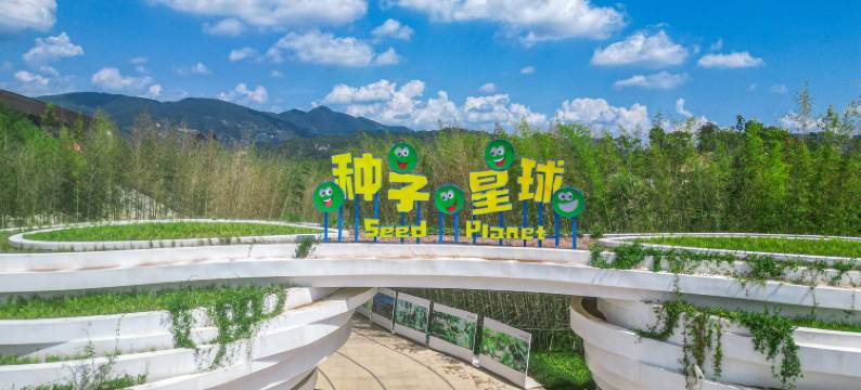 泰顺村游氡泉民宿(华东大峡谷店)图片