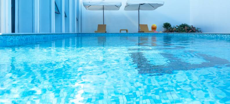 小白象·枣园民宿图片