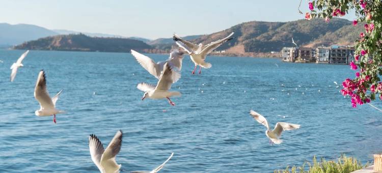 阿凯缇娅·安隐水时光海景度假酒店图片
