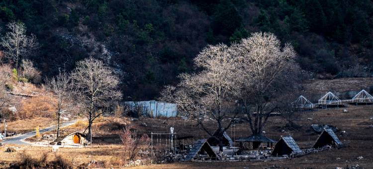 色龙村·隐栖堂世外桃源悬崖酒店图片