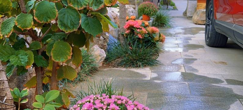 曲阜桂泽园民宿图片