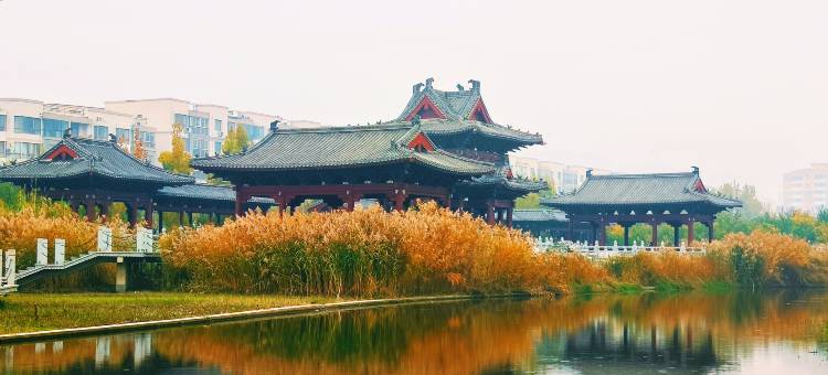 闲庭小筑(开封清明上河园店)图片