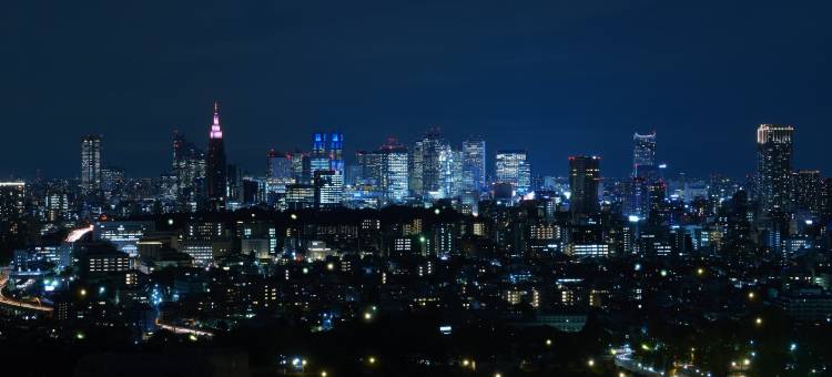 东京新大谷酒店花园塔酒店(Hotel New Otani Tokyo Garden Tower)图片