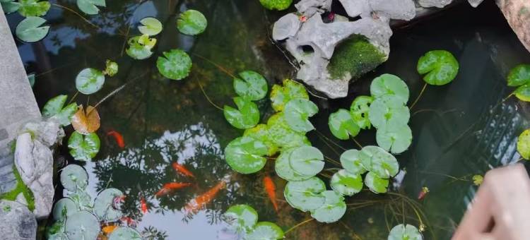 周庄隐庐别院·河景花园美宿图片