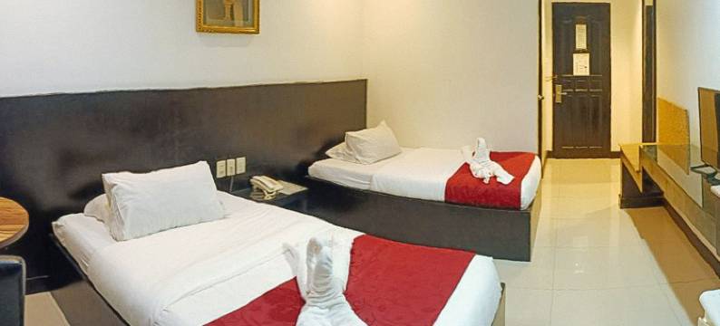 杜马格特市入住酒店(Check Inn Hotel Dumaguete City by RedDoorz)图片