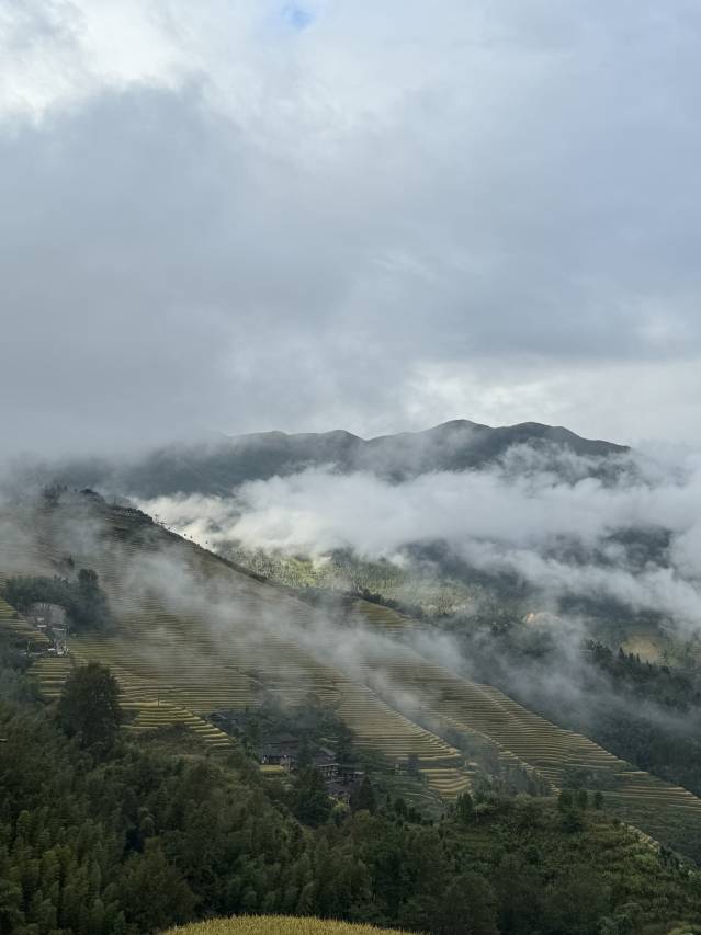 山水间的家民宿(龙脊梯田店)图片