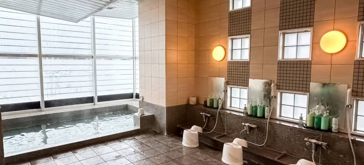 露樱酒店盛冈站前店(Hotel Route-Inn Morioka Ekimae)图片