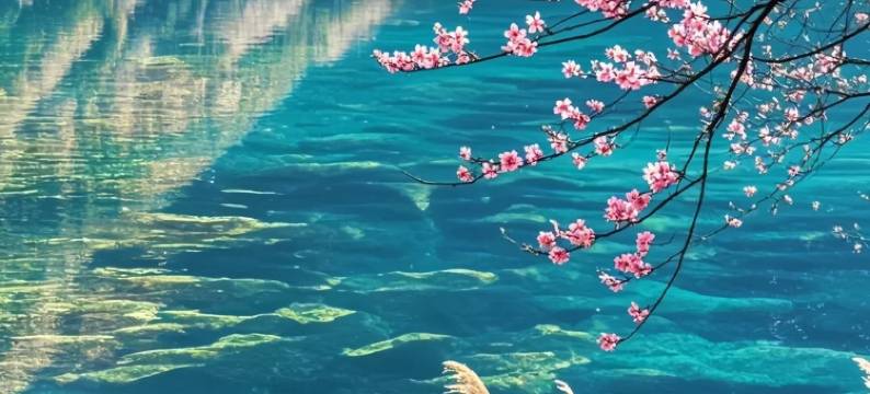 九寨印象·藏韵阁·云上度假美宿图片