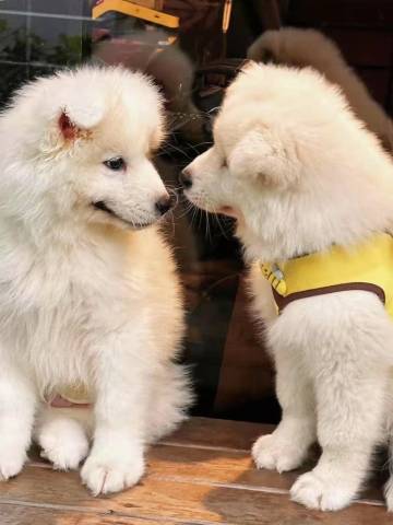 景德镇亦居欢朋酒店(人民广场陶阳里店)图片