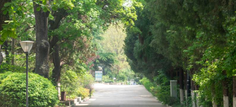 澜森假日酒店(北戴河老虎石海上公园店)图片