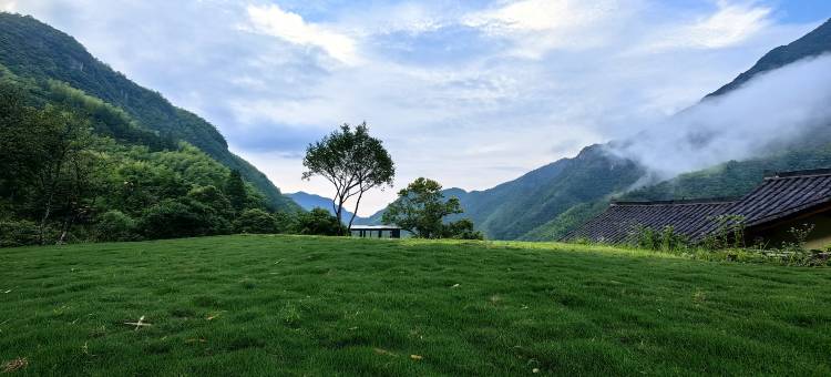 雨印茶坪民宿(紫微山国家森林公园店)图片
