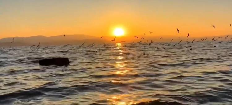 青纯·国风雅院●Hello大理·山景花园小院(洱海龙龛码头店)图片