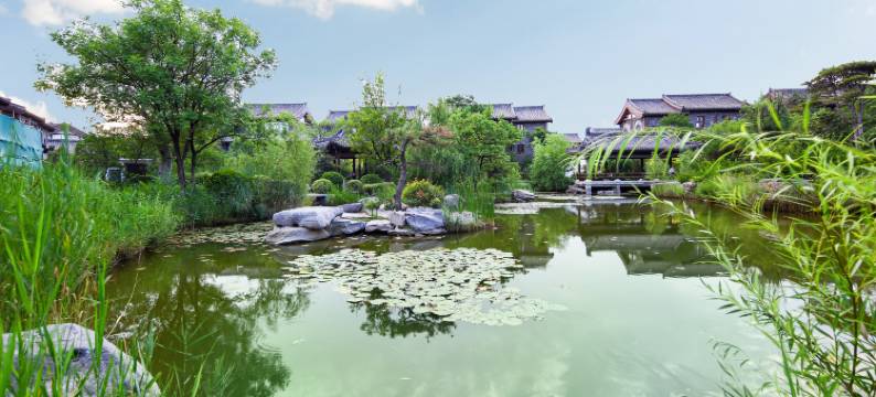 大朴闲园民宿(开封清明上河园万岁山武侠城店)图片