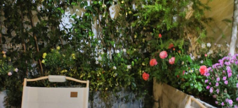 苏州MeiChu美厨宾馆Hotel(观前街平江路店)图片