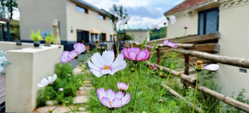 陵川云栖·东岸民宿图片