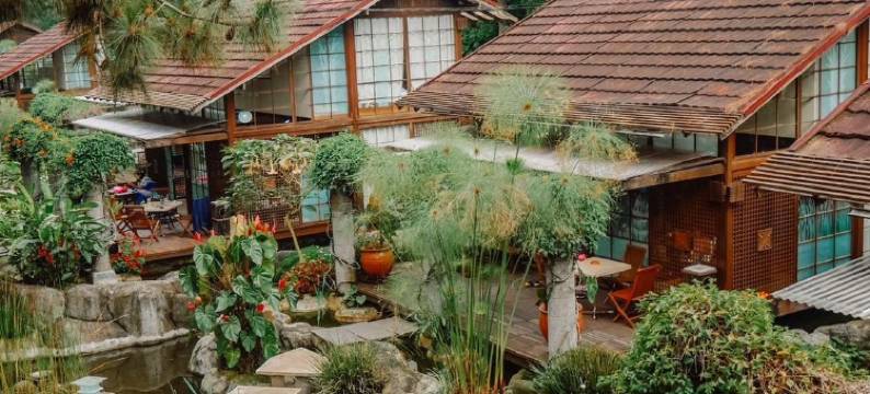 伦邦维拉自然空气度假村(Vila Air Natural Resort)图片