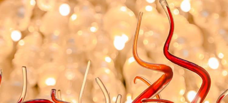 上海圣诺亚皇冠假日酒店图片