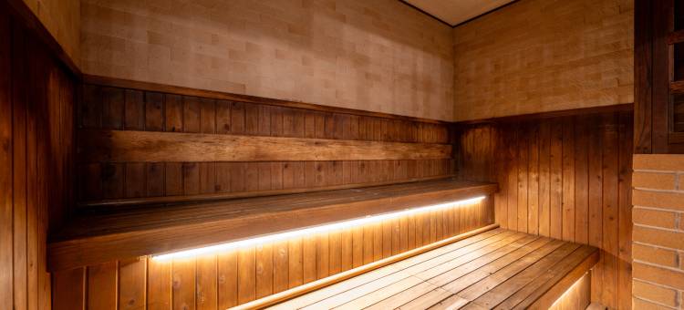 雾岛脉动(THE PULSE KIRISHIMA)图片