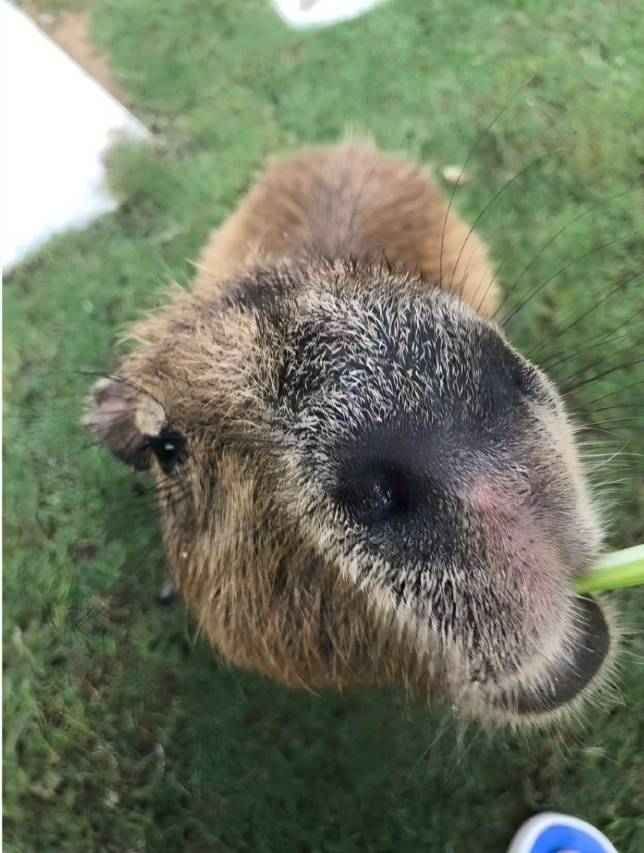 台山澜朵度假酒店图片