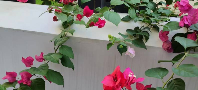 长汀古井驿站(汀州古城店)图片