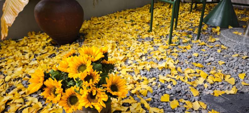 荔枝小院酒店(恩施和润城店)图片