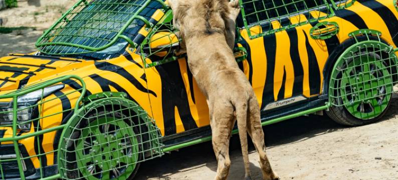 郑州银基冰雪酒店(动物王国店)图片