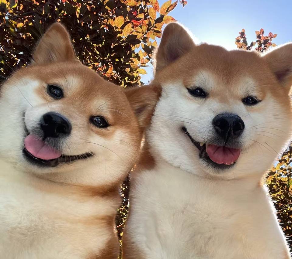 天海柏唐江景酒店(联盛快乐城九江市第三中学店)图片