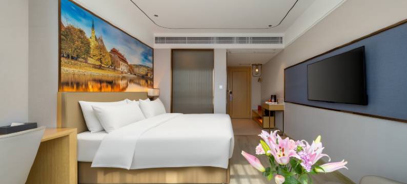 维也纳3好酒店(廉江实验学校锦绣华景店)图片