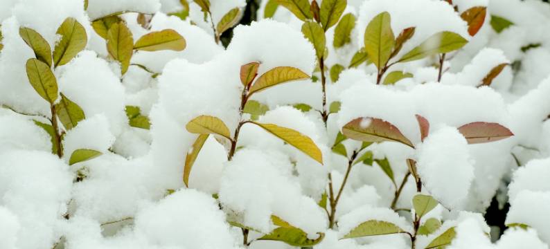 烟台金沙滩英迪格酒店图片