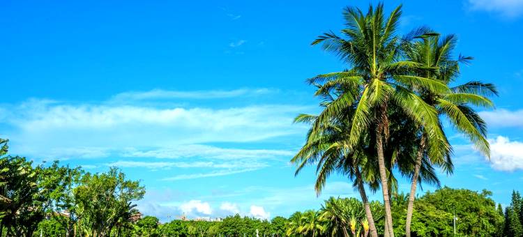 美丽豪酒店(海口骑楼老街店)图片