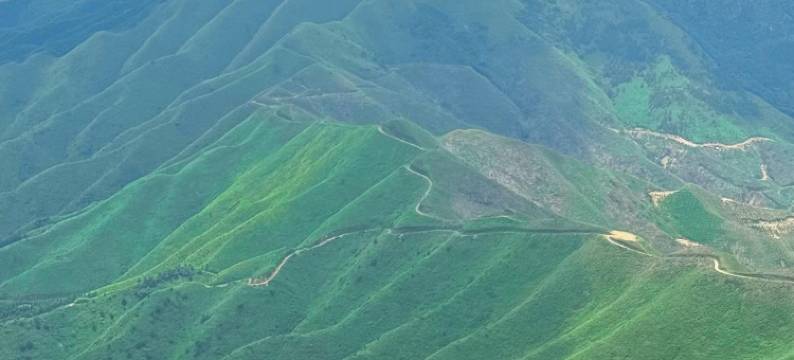 宜朵酒店(宾阳力沃广场凤凰湖公园店)图片