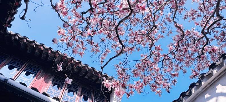 雅戈尔富宫大酒店(观前街平江路店)图片